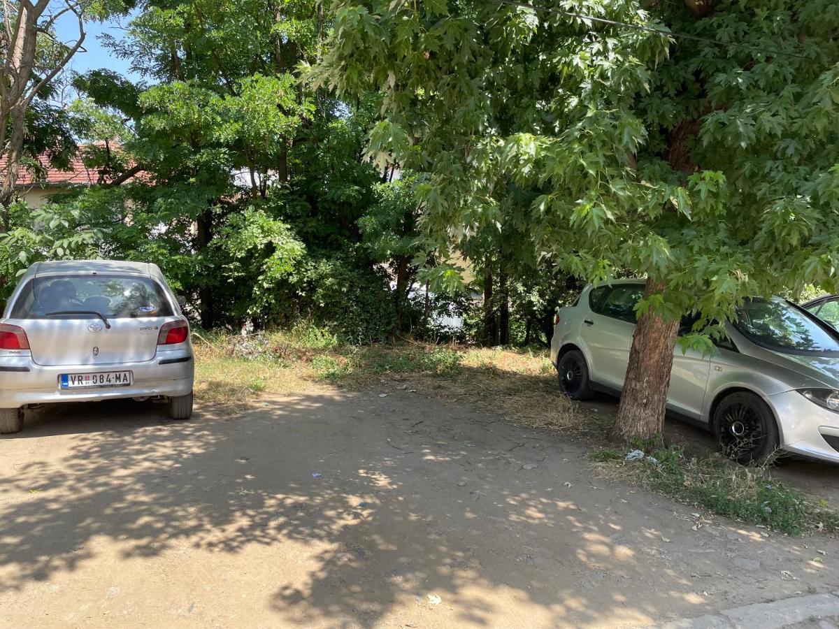 Bora Apartmani - Free Parking - City Center Vranje Exteriör bild