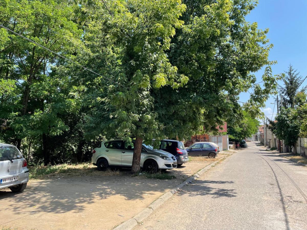 Bora Apartmani - Free Parking - City Center Vranje Exteriör bild