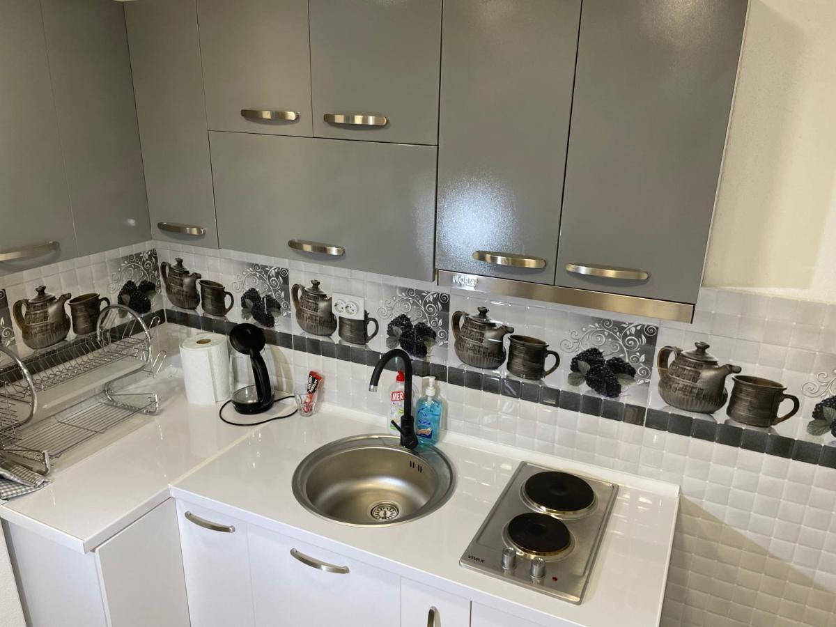 Bora Apartmani - Free Parking - City Center Vranje Exteriör bild